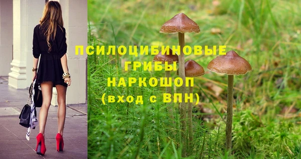 СК Алзамай