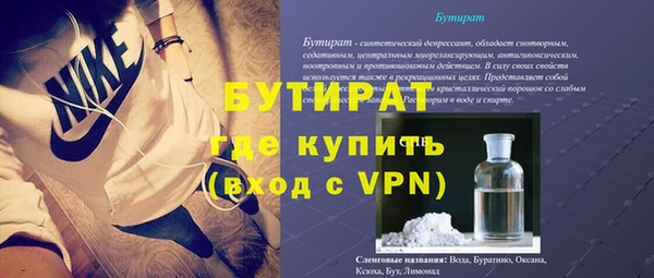 индика Краснослободск