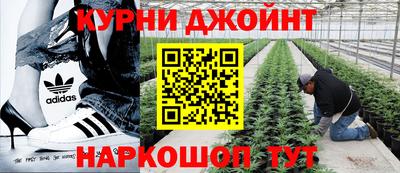 мяу мяу мука Ярославль
