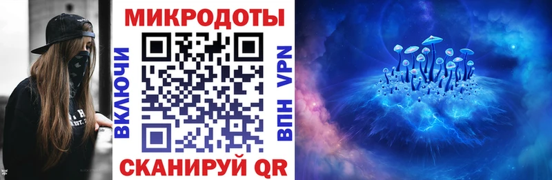 Псилоцибиновые грибы Cubensis гидра рабочий сайт Находка где купить