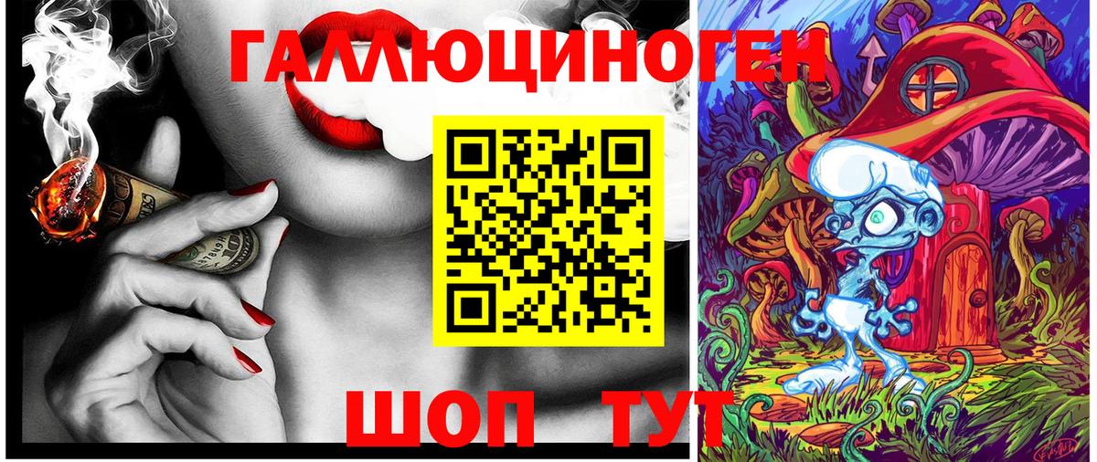 где продают наркотики  Галлюциногенные грибы Magic Shrooms  Вход с VPN  Находка  Галлюциногенные грибы Psilocybine cubensis 